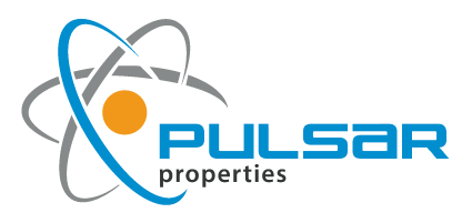 Pulsar Properties